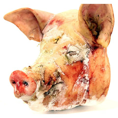 Frozen Pork Head Meat