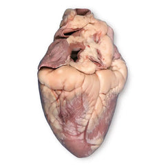 Frozen Pork Heart
